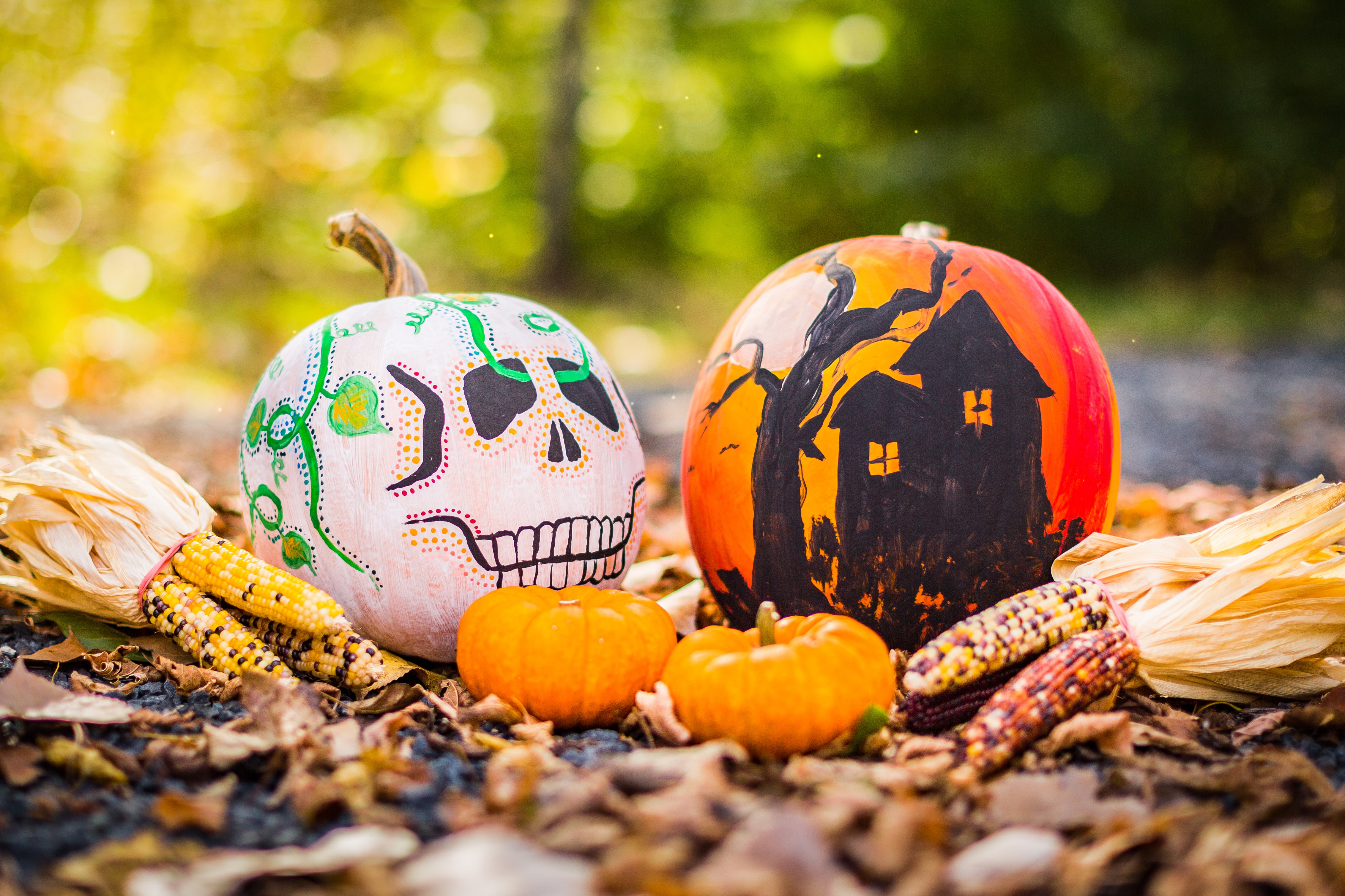 Two painted pumpkins on the ground. 