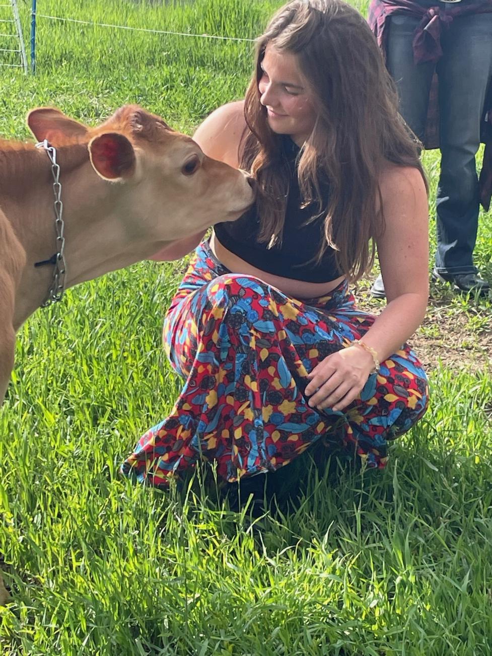 A woman petting a small, light brown cow