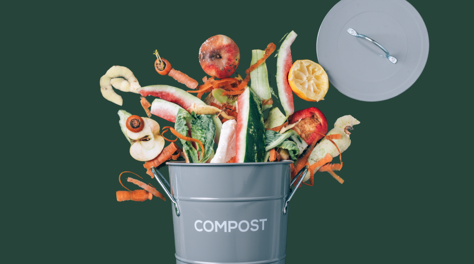 Food scraps spilling out of a metal compost container. 