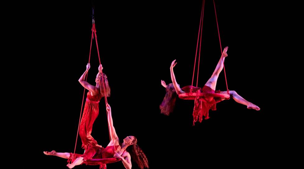 Aerial performers hanging from ropes.
