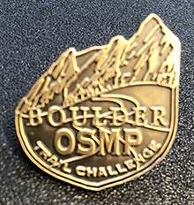 Trail Challenge Completion Pin