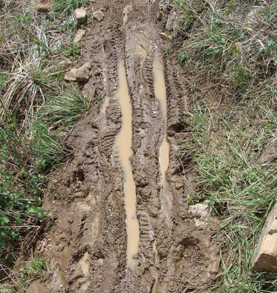 Bike tracks through muddy trail