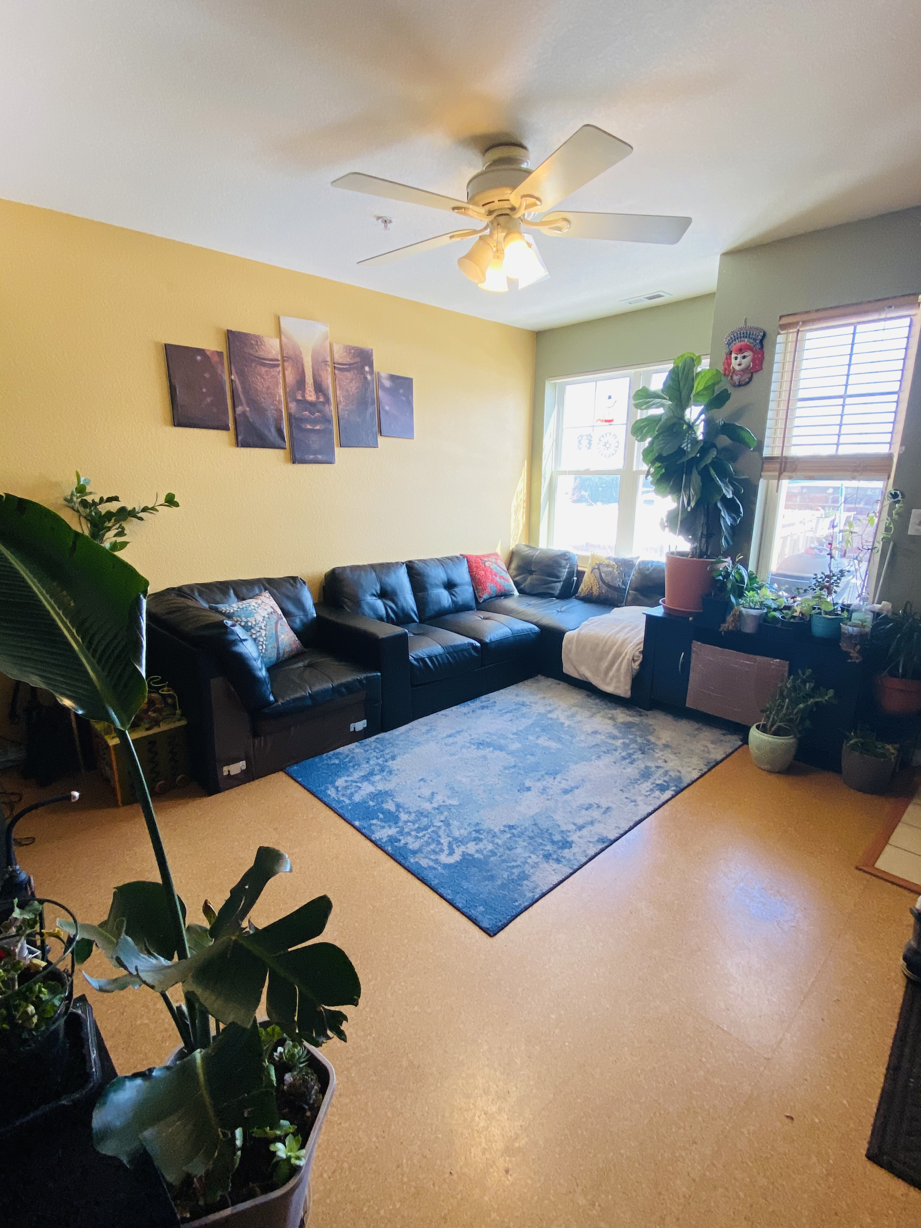 1045 Laramie Blvd Unit F - living room 1