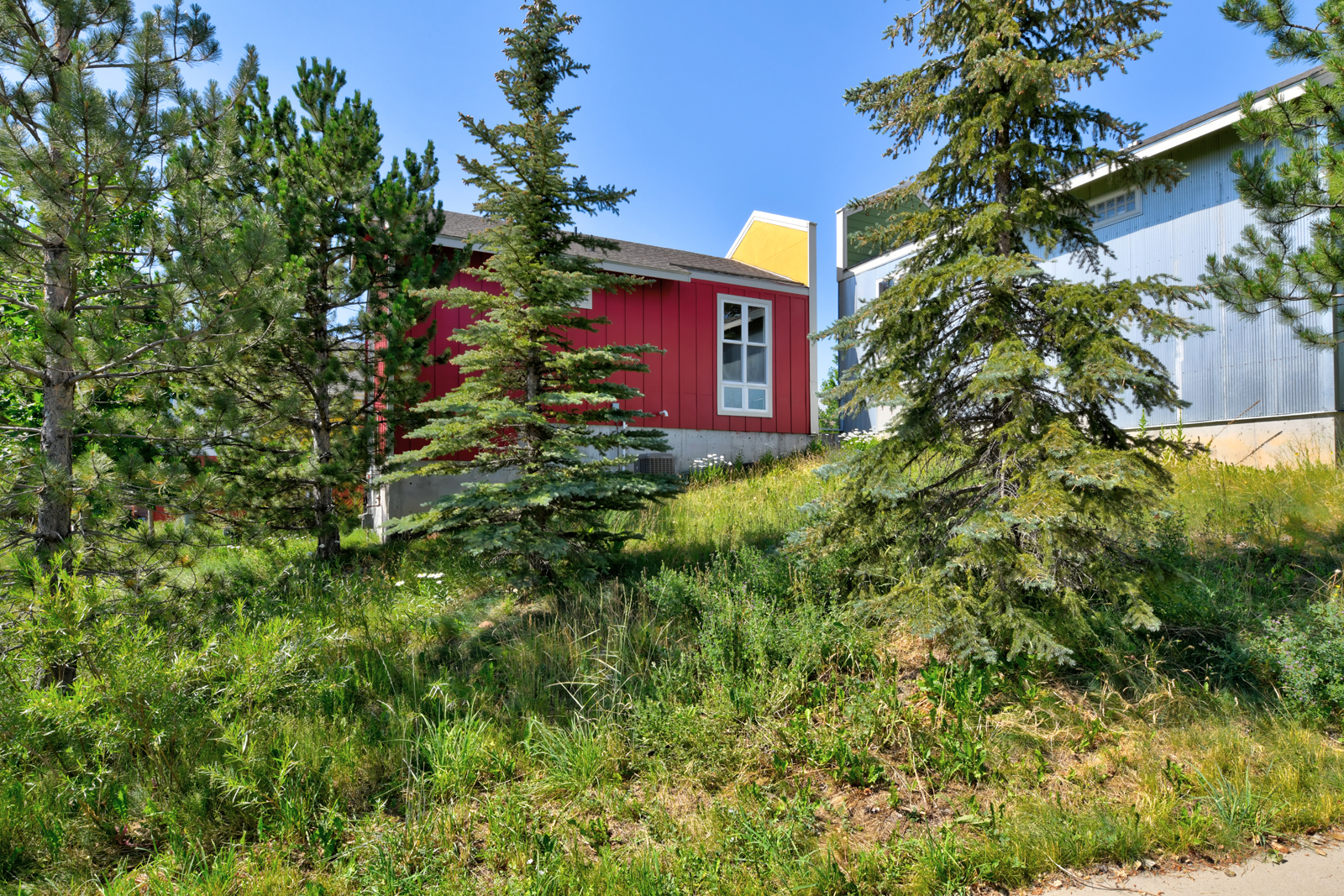 4712 18th St - 20 - exterior yard