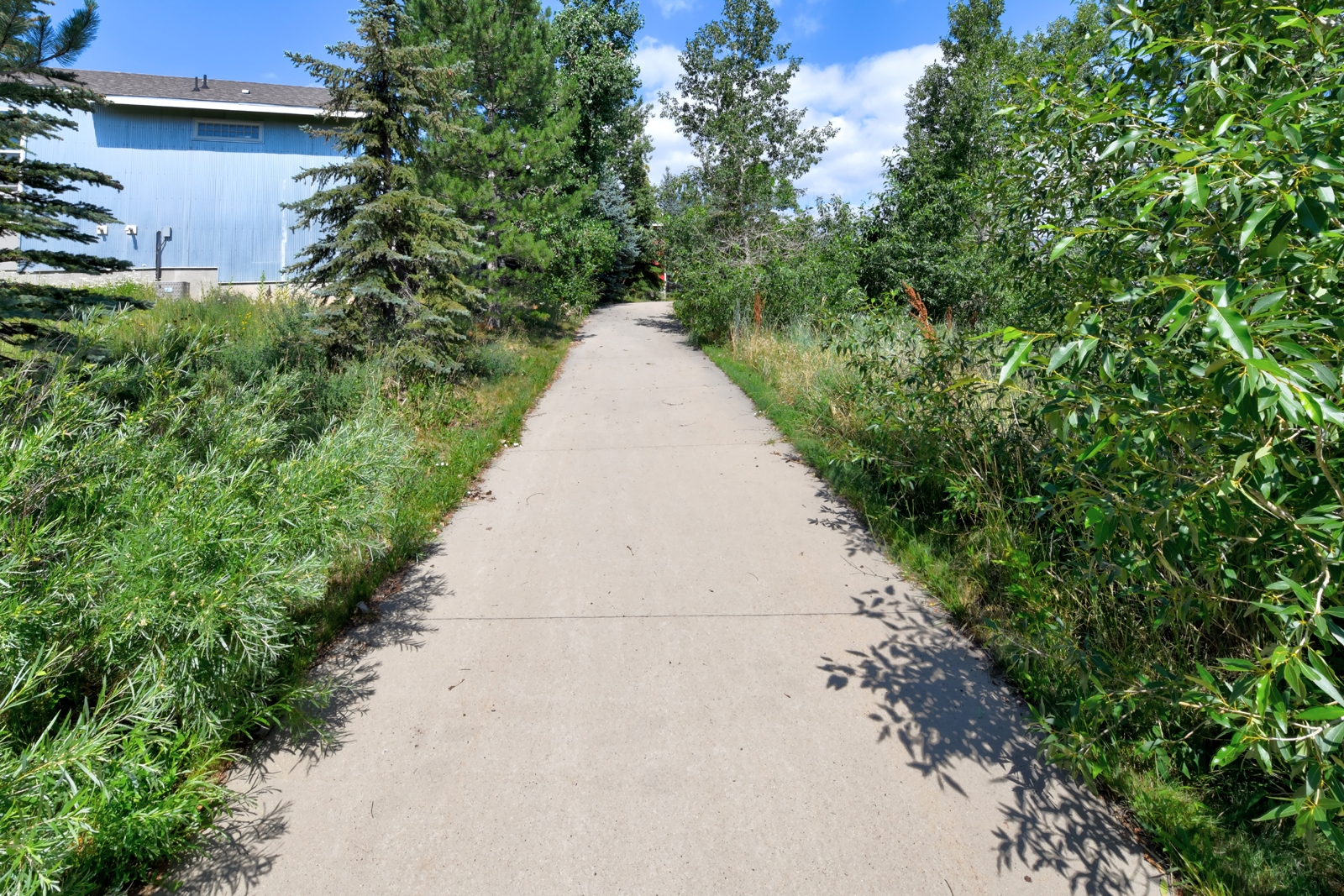 4712 18th St - 21 - exterior pathway