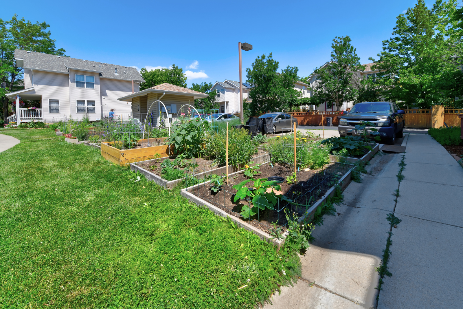 4712 18th St - 26 - community garden