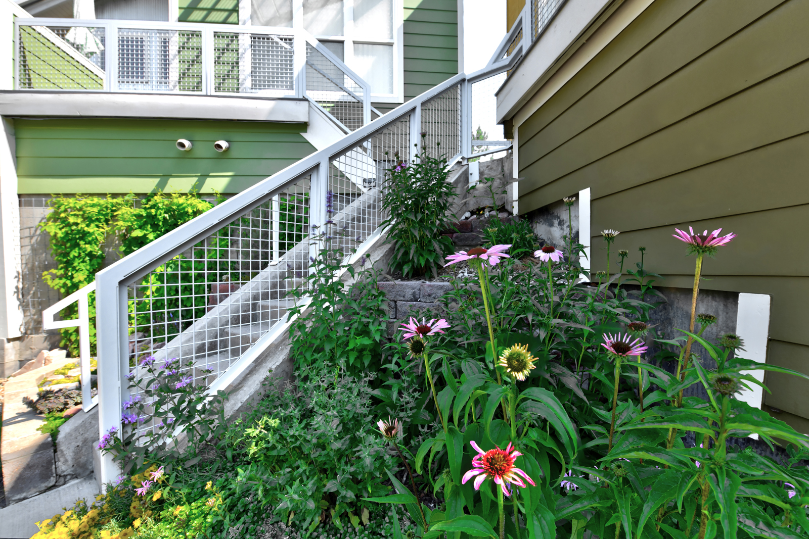 4712 18th St - 4 - exterior garden