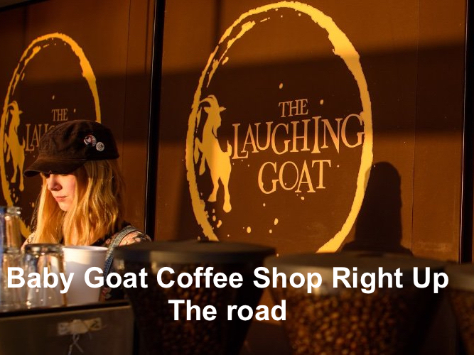 Velo Condos Airport Rd - Baby_Goat_Barista