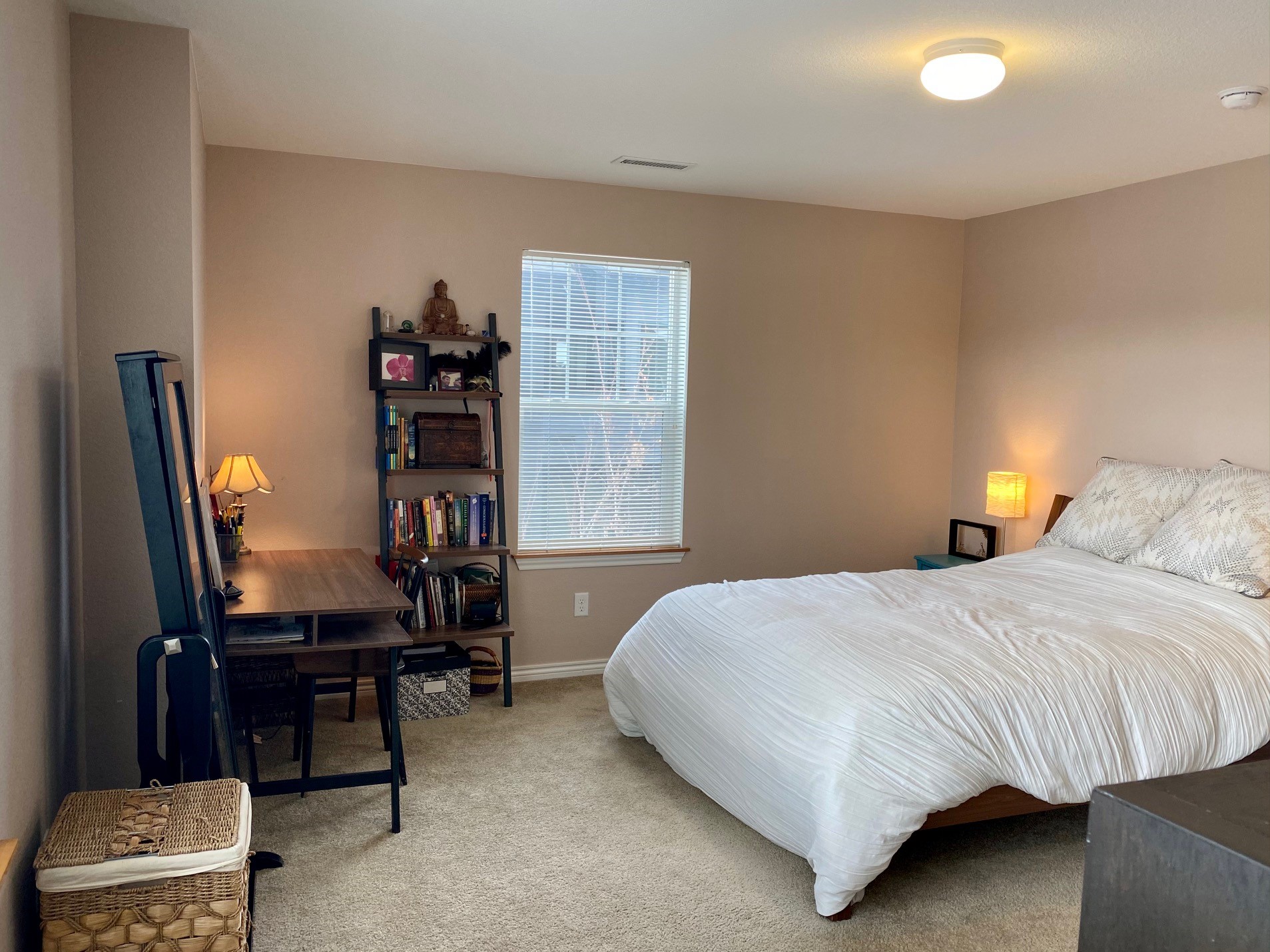 3700 Paonia  photo113