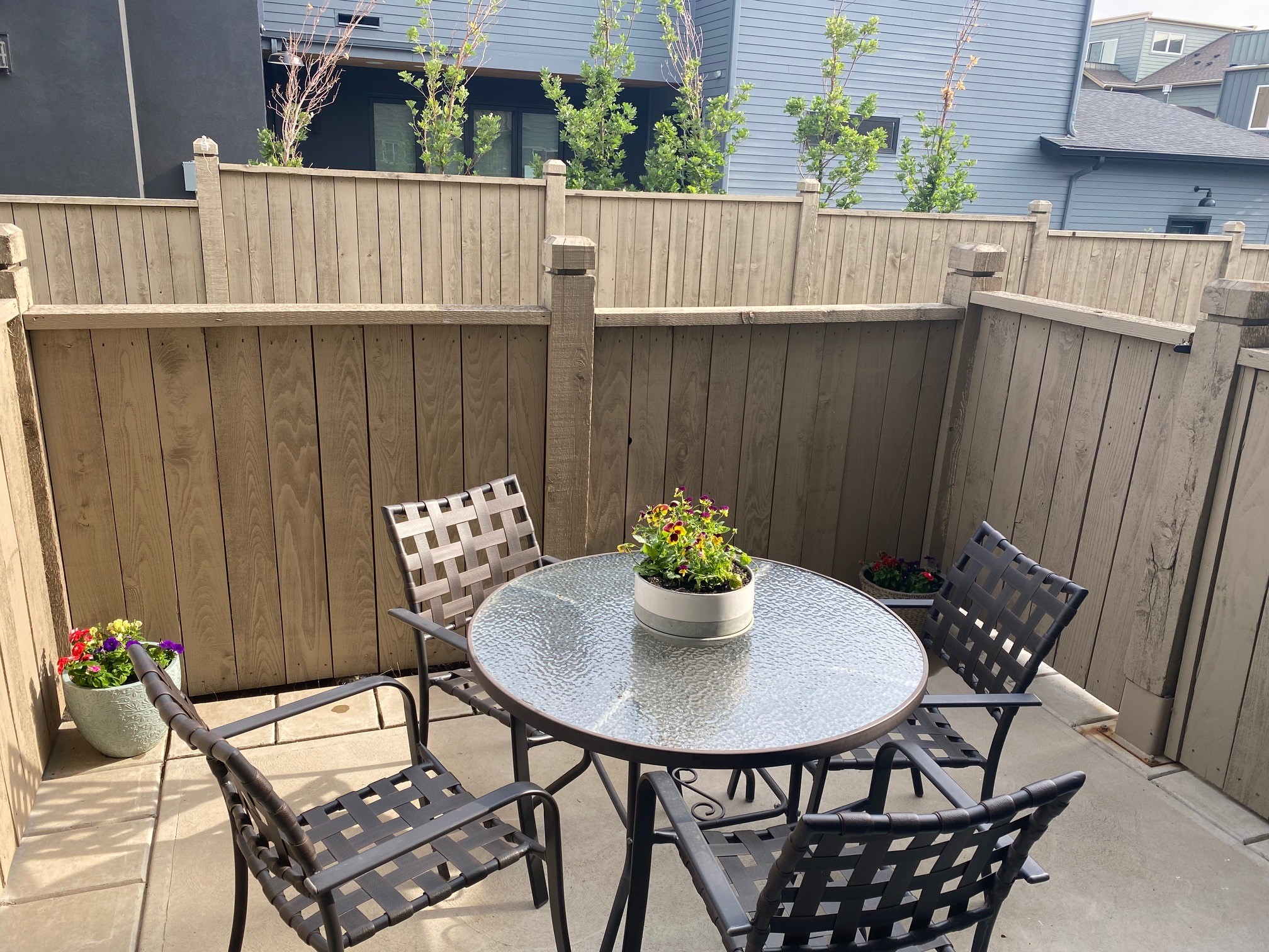 3700 Paonia  photo118