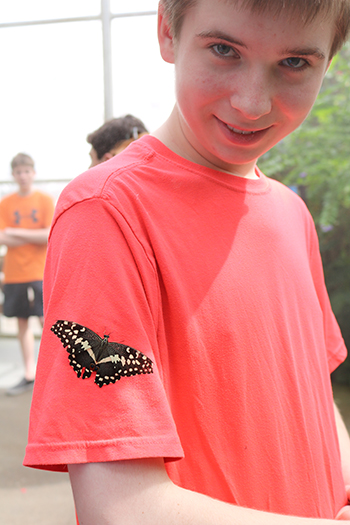Boy with butterfly on his shirt