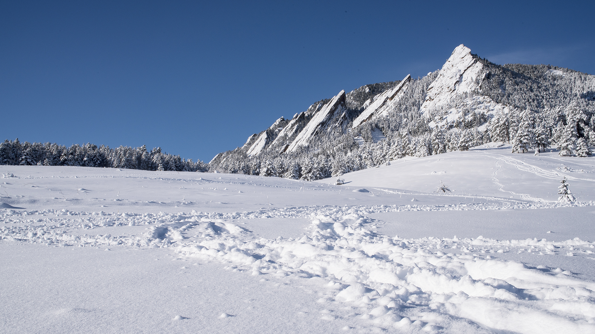 Snow covers the Chautauqua Meadow and tthe Boulder Flatirons after a winter snow storm.