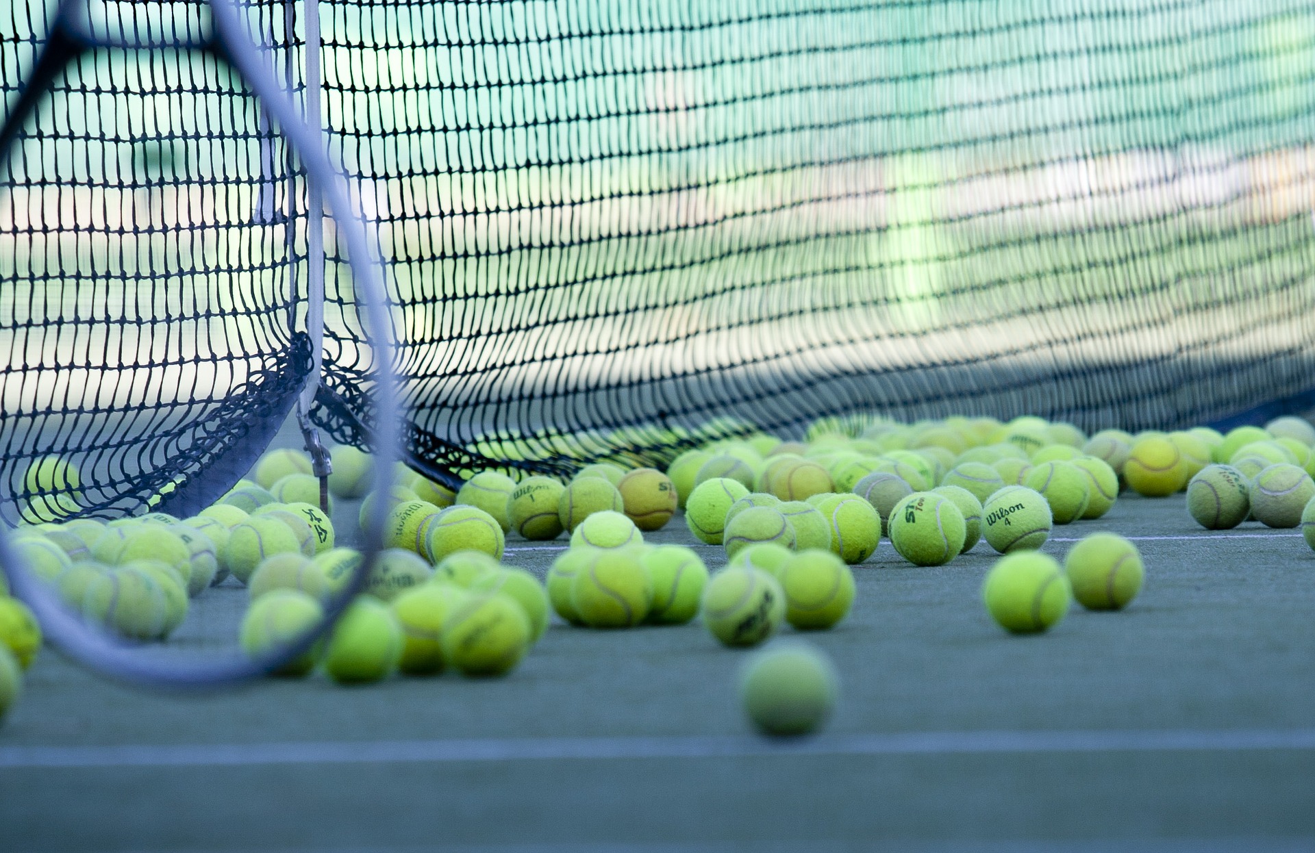 Ensayan la valorización de pelotas de tenis para generar un material  termoplástico sostenible - Eurecat