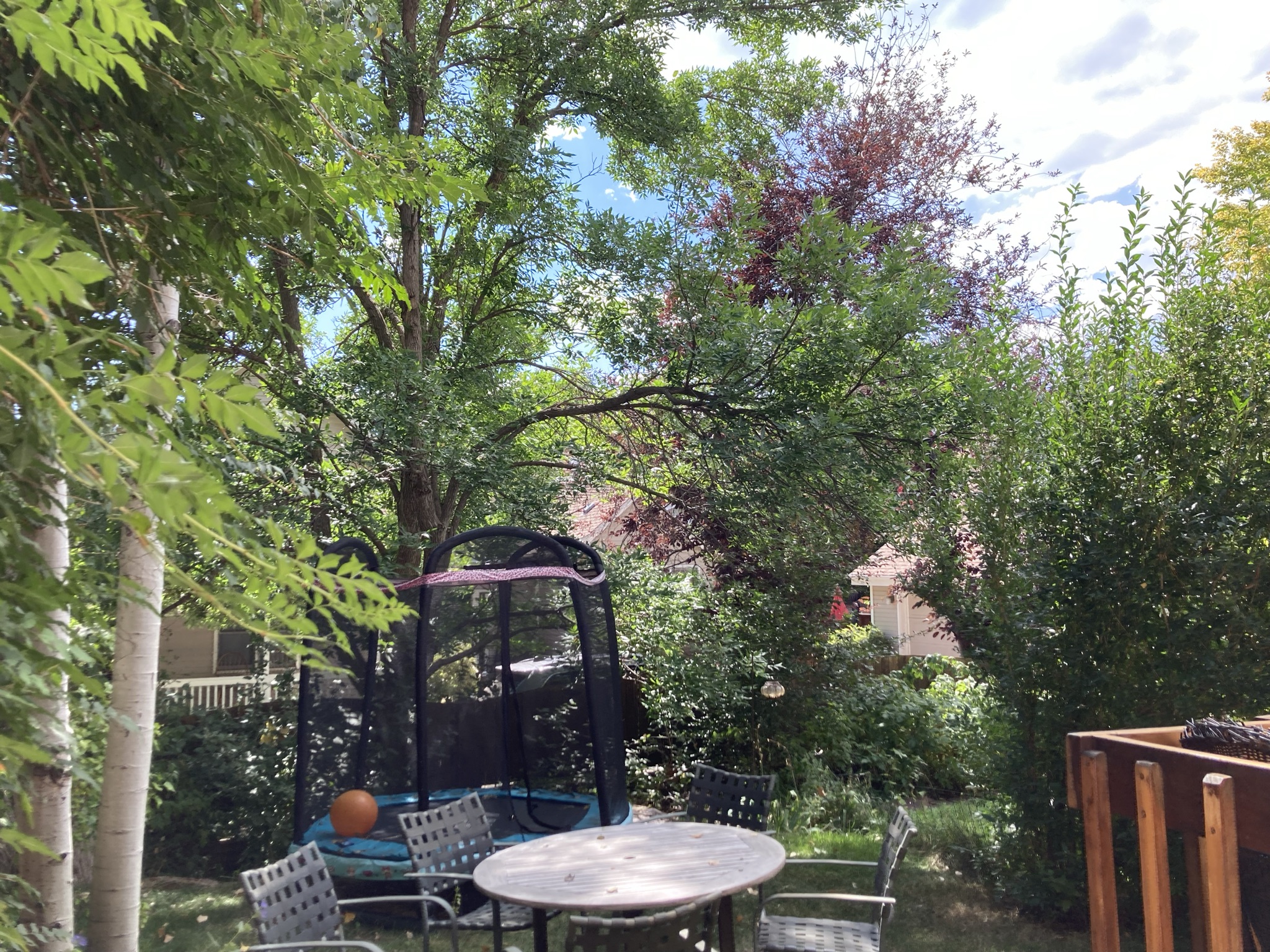 23. 1460 Quince Ave 103 - backyard view 4