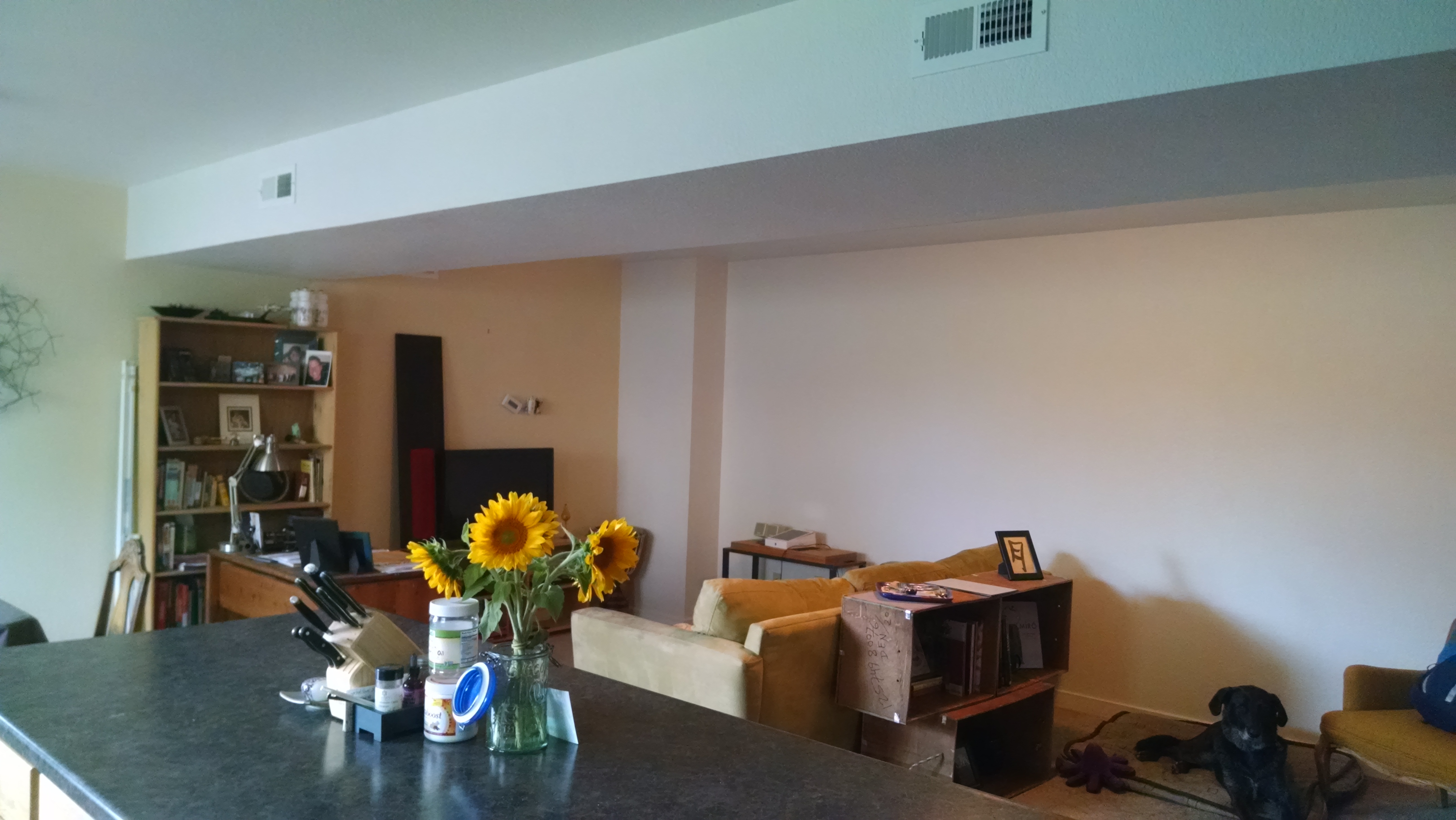 5 - 4625 16th St Unit 4 - Living Room