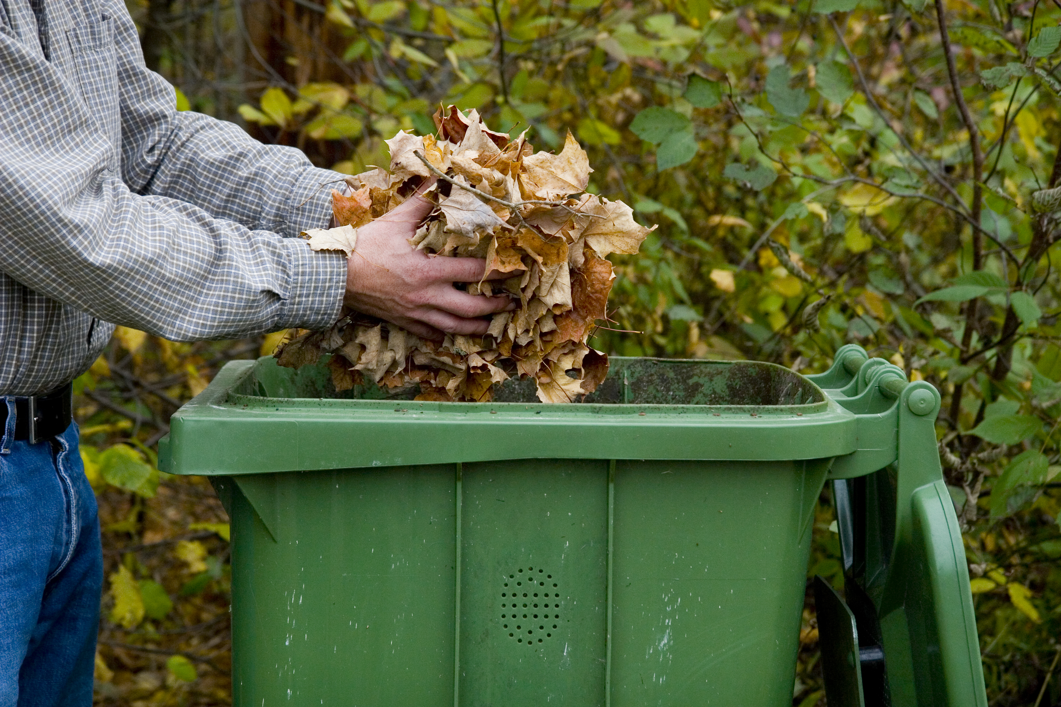 Fall Lawn Care Tips to 'Leaf' No Trace