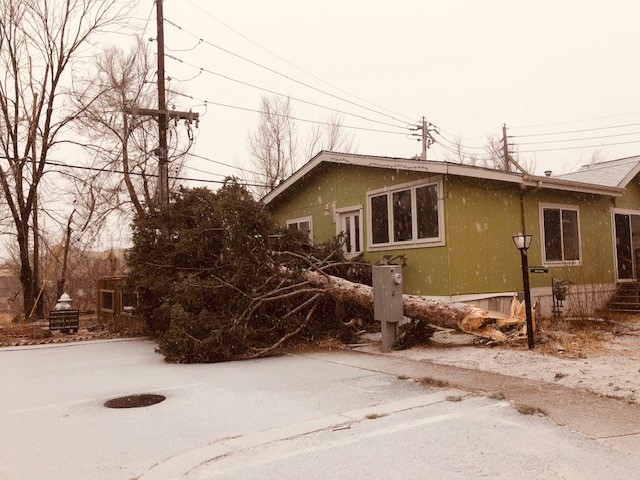 Wind storm damage