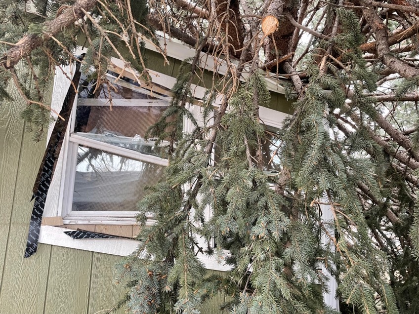 Wind storm damage