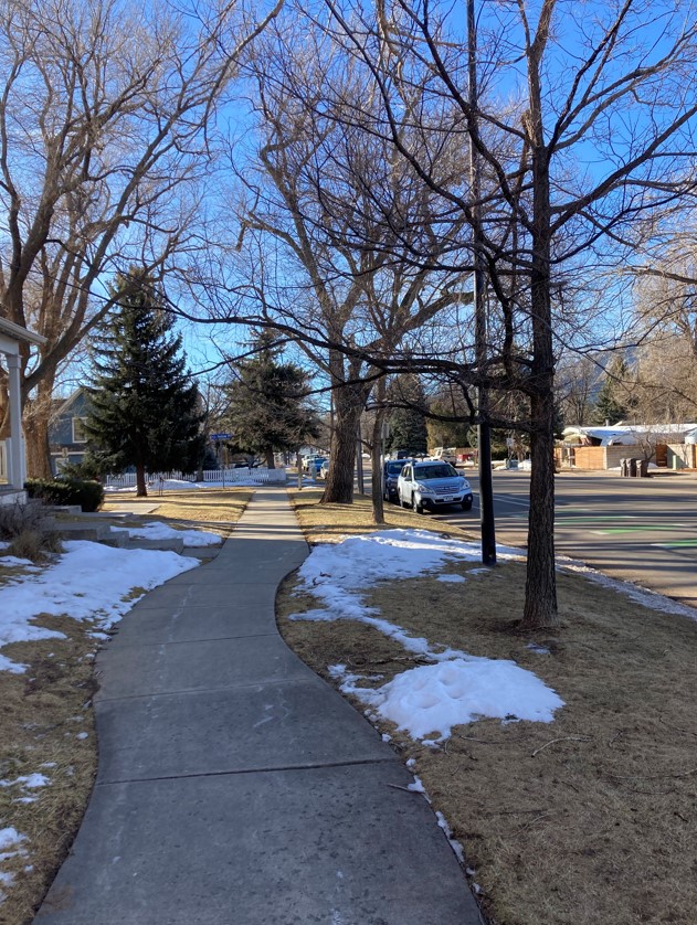 3380 Folsom St Unit 113 - 24