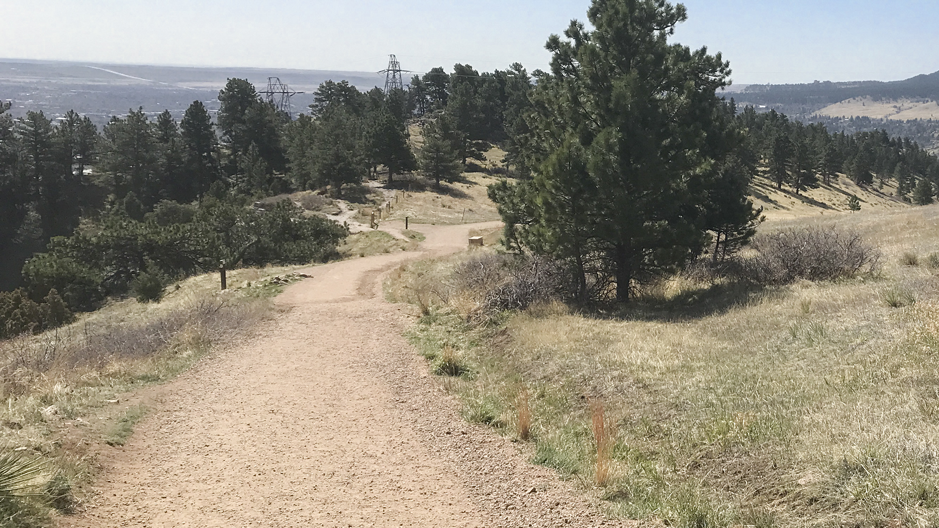 Open space trails serve as fire roads