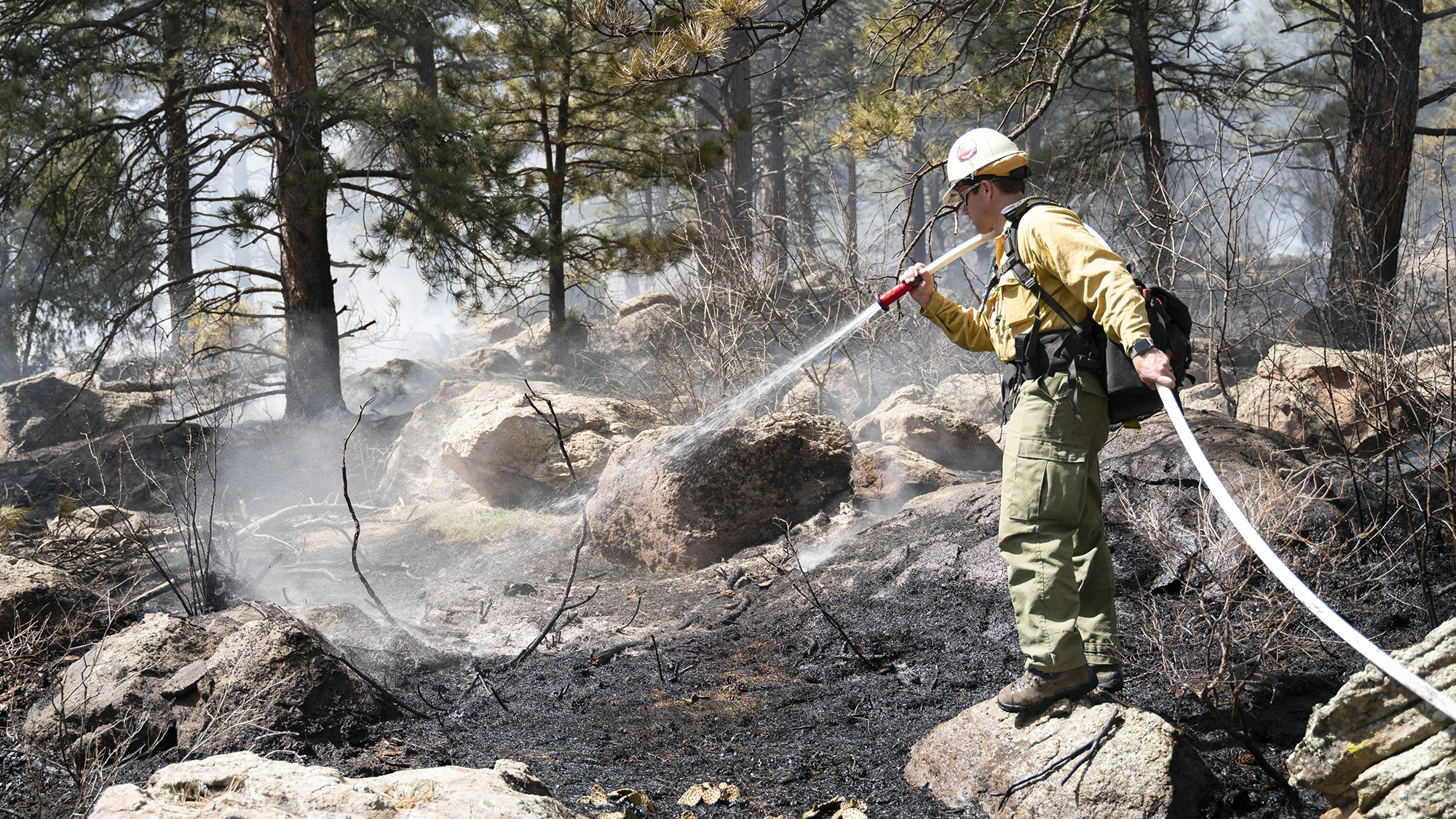 Prescribed burning on Shanahan Ridge