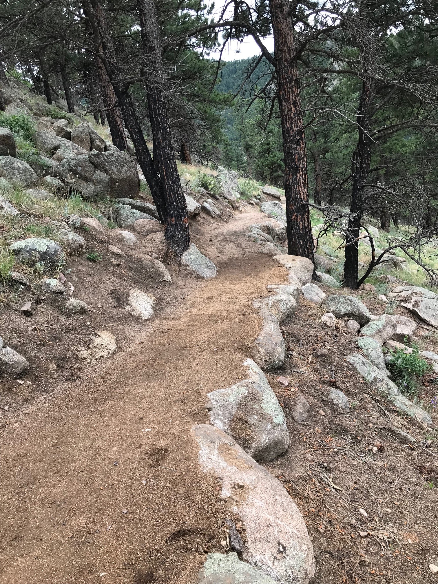 Retaining wall along Anemone Loop Trail