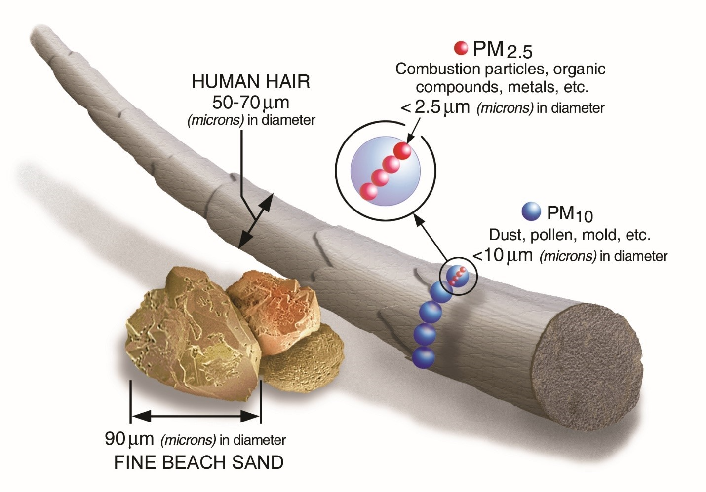 PM 2.5 to PM 10 visual diagram