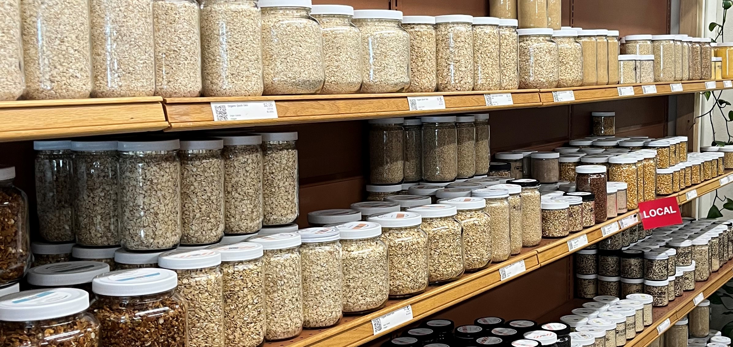 Shelves with jars of bulk dry goods