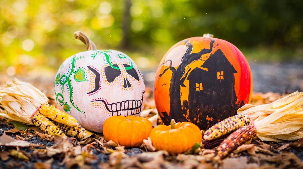 halloween and di de los muertos boulder