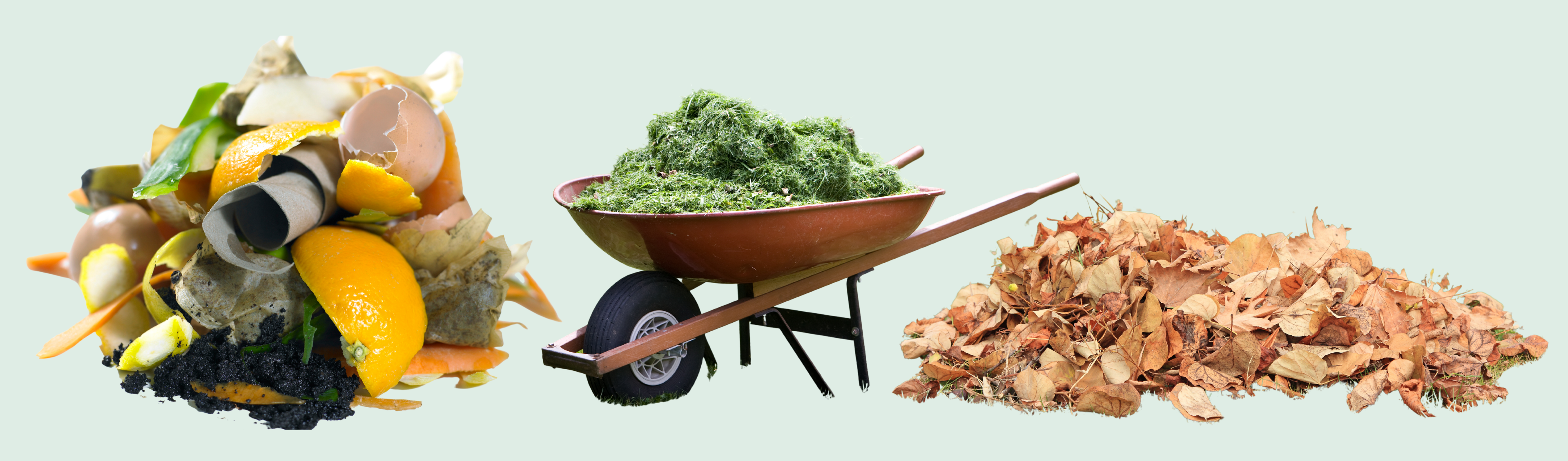 Small pile of food scraps, wheelbarrow full of grass clippings and pile of leaves