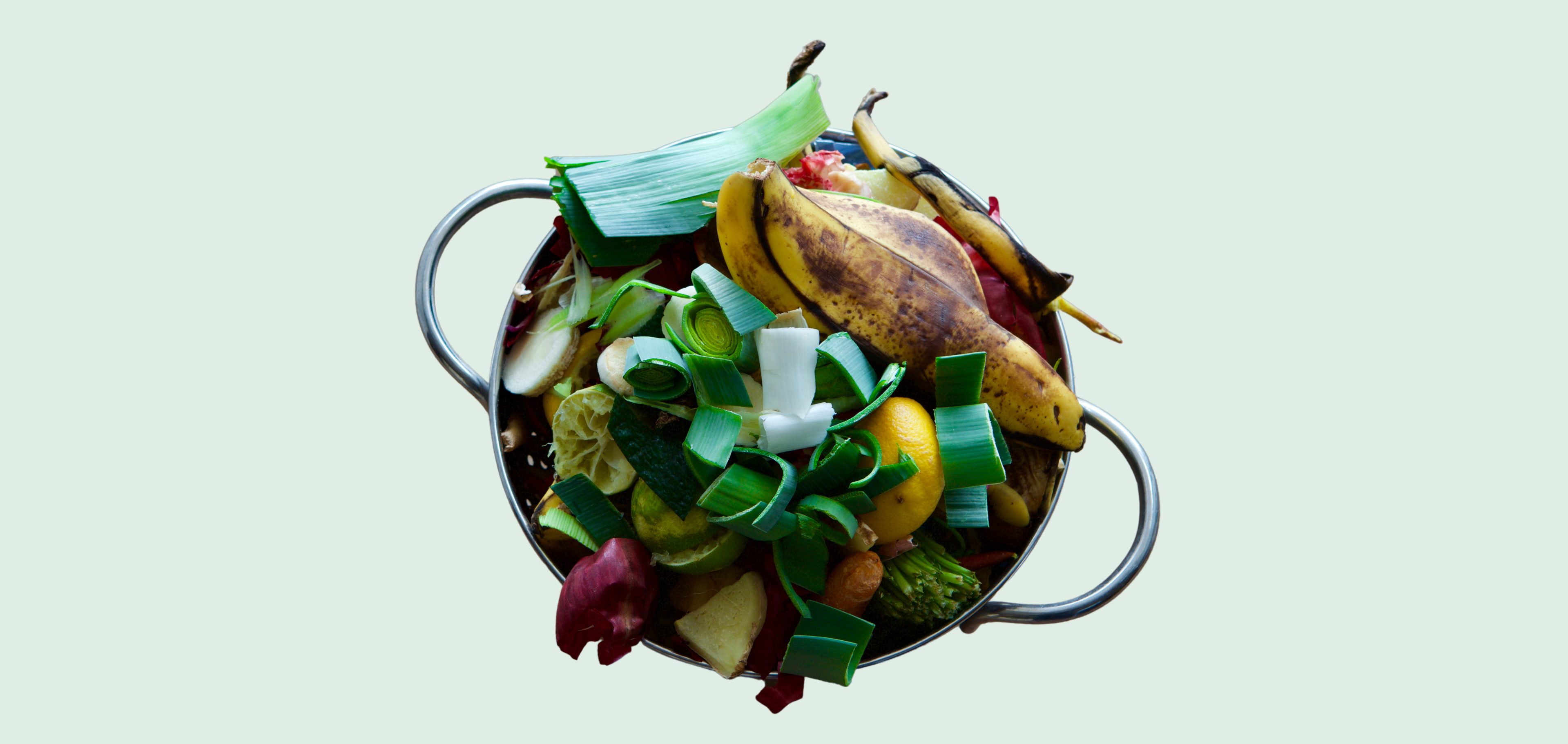 A pile of food scraps in a bowl 
