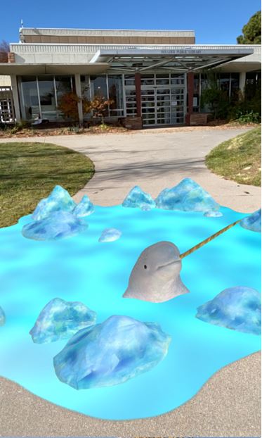 Narwhal - augmented reality