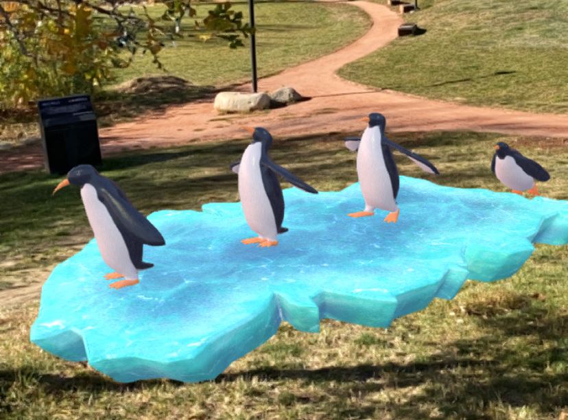 Penguins - augmented reality