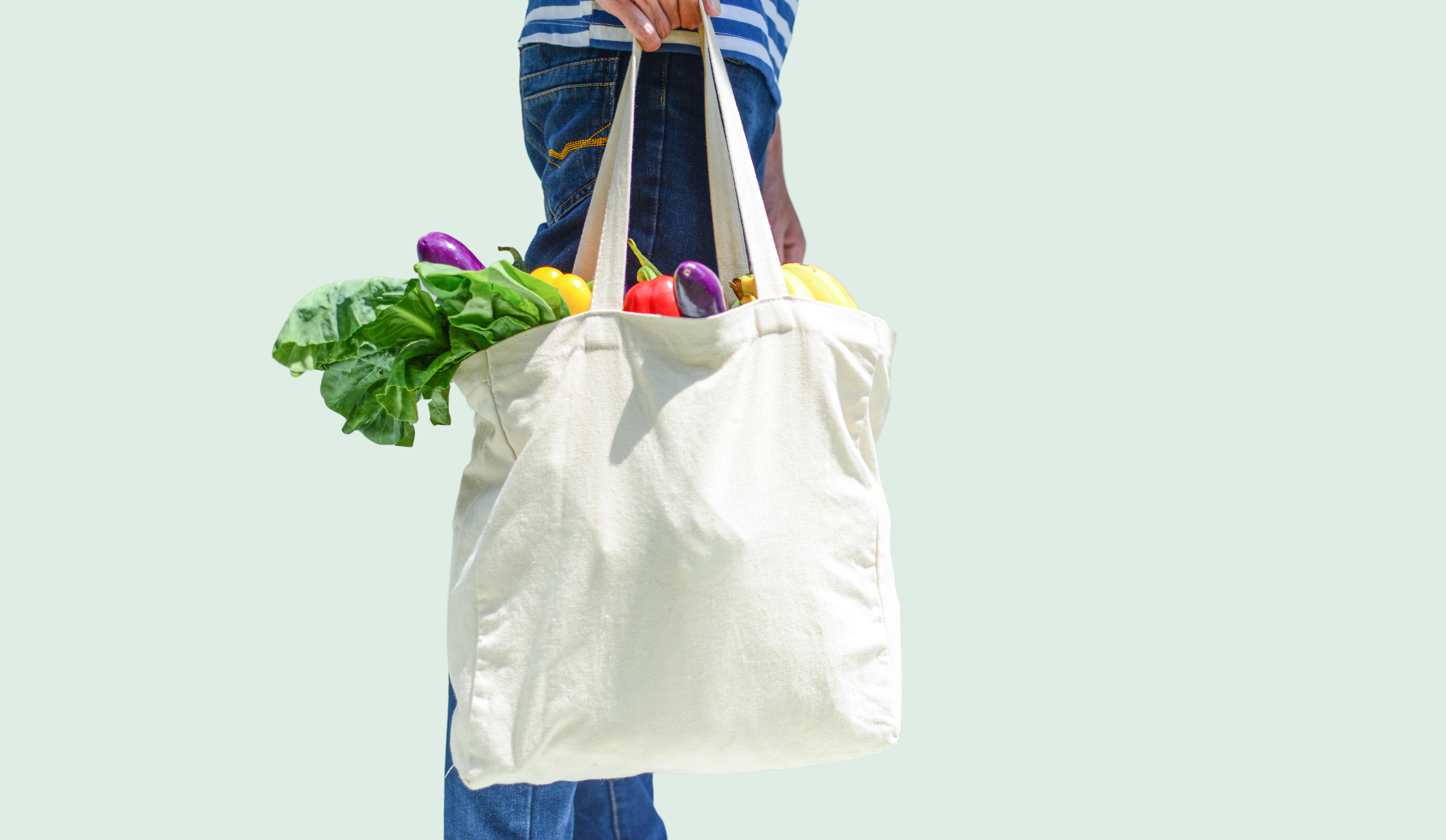Are Reusable Bags Bad for the Environment?, Eco-Friendly Tote Bags