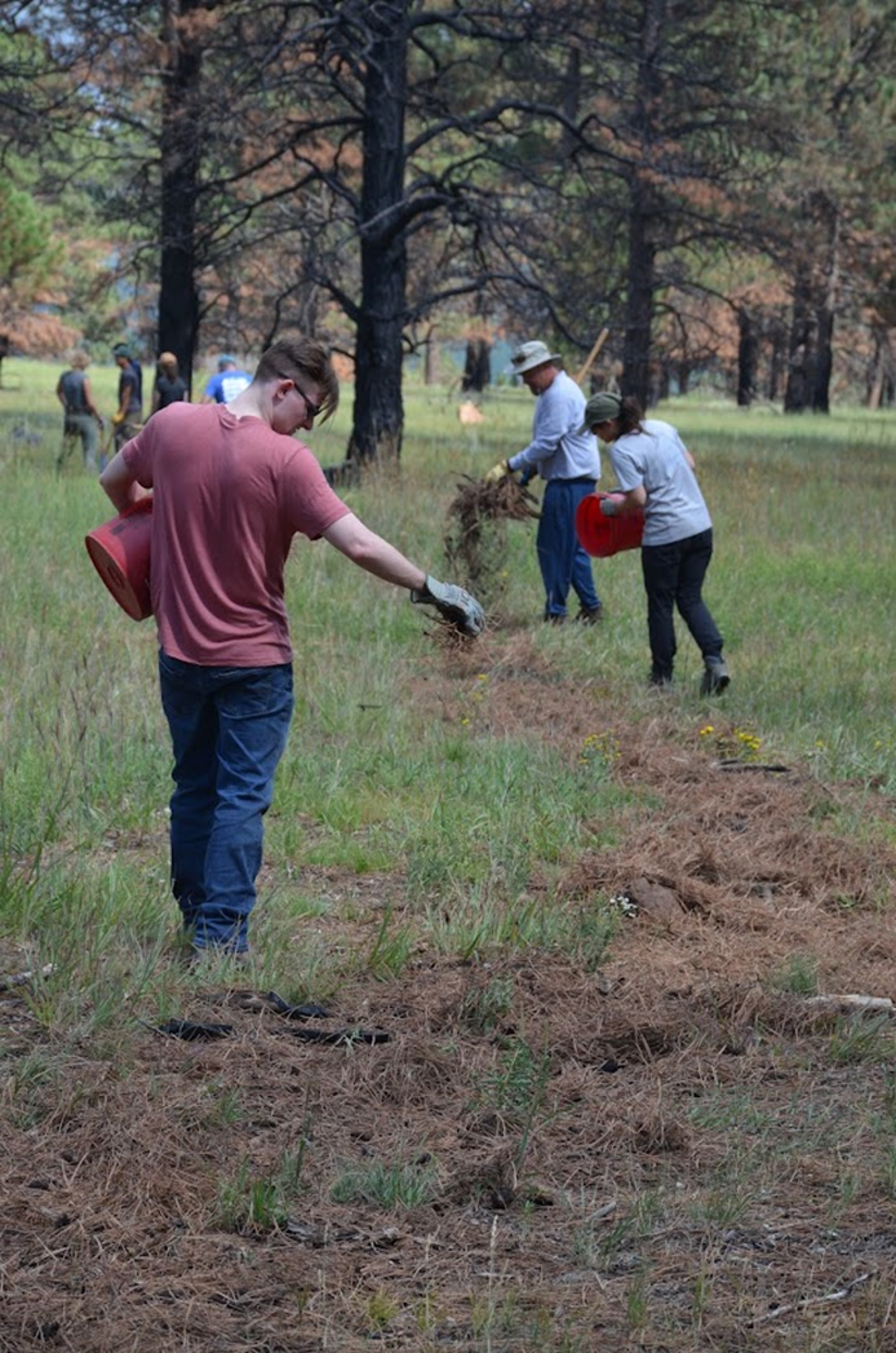 Undesignated trail restoration