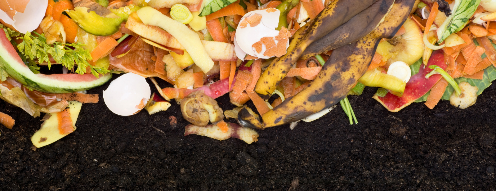 Food scraps become soil through the composting process