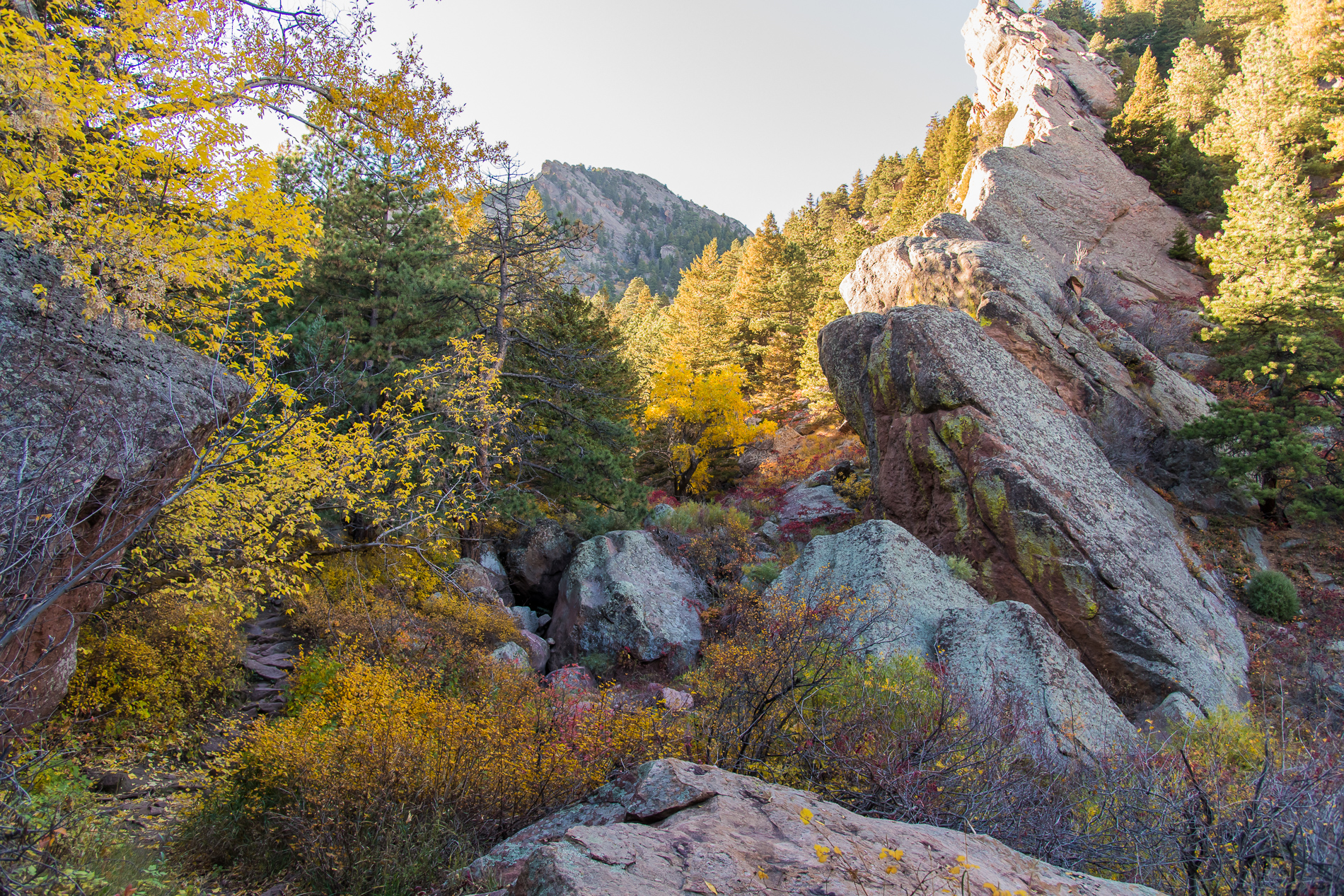 Rock formations in Autumn from Bear Canyon Trail