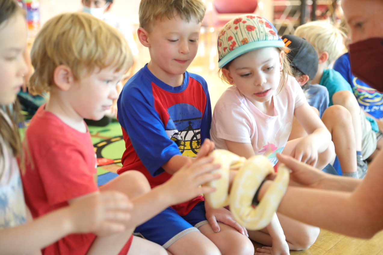 Kids learning about snakes at camp