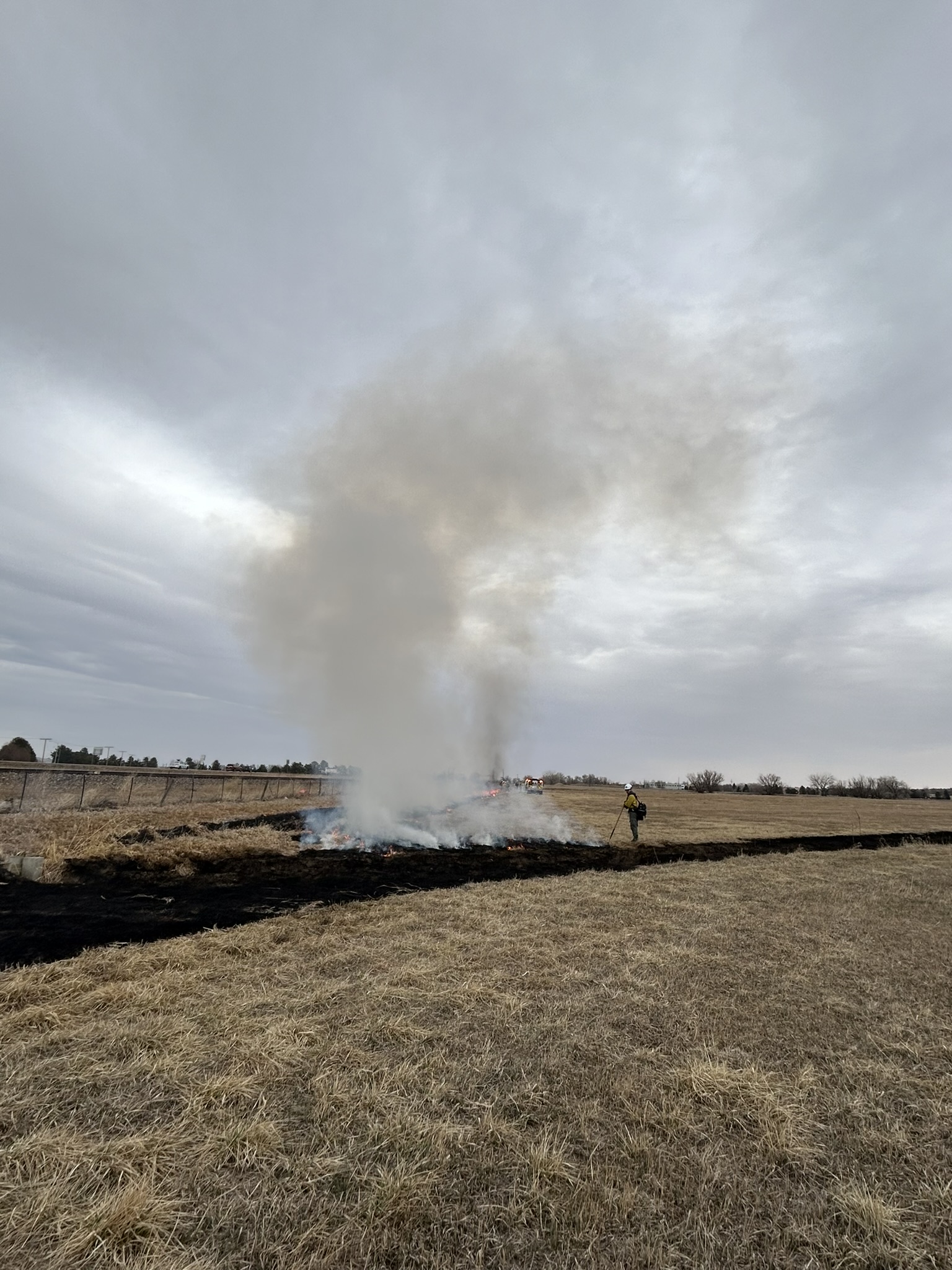 smoke rising from a prescribed agricultural burn