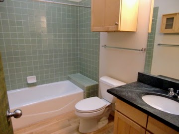 Bathtub restroom view