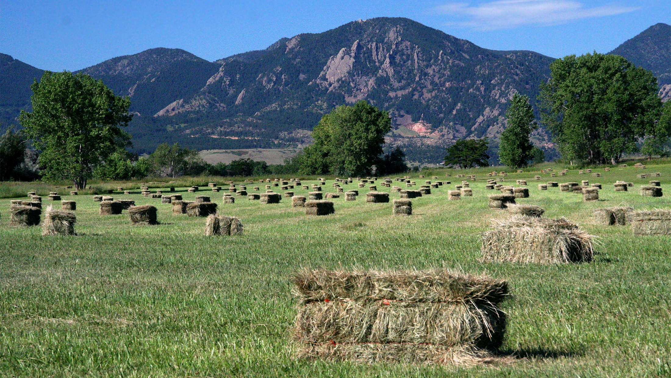 Haybales stand on open space near South Boulder Road.