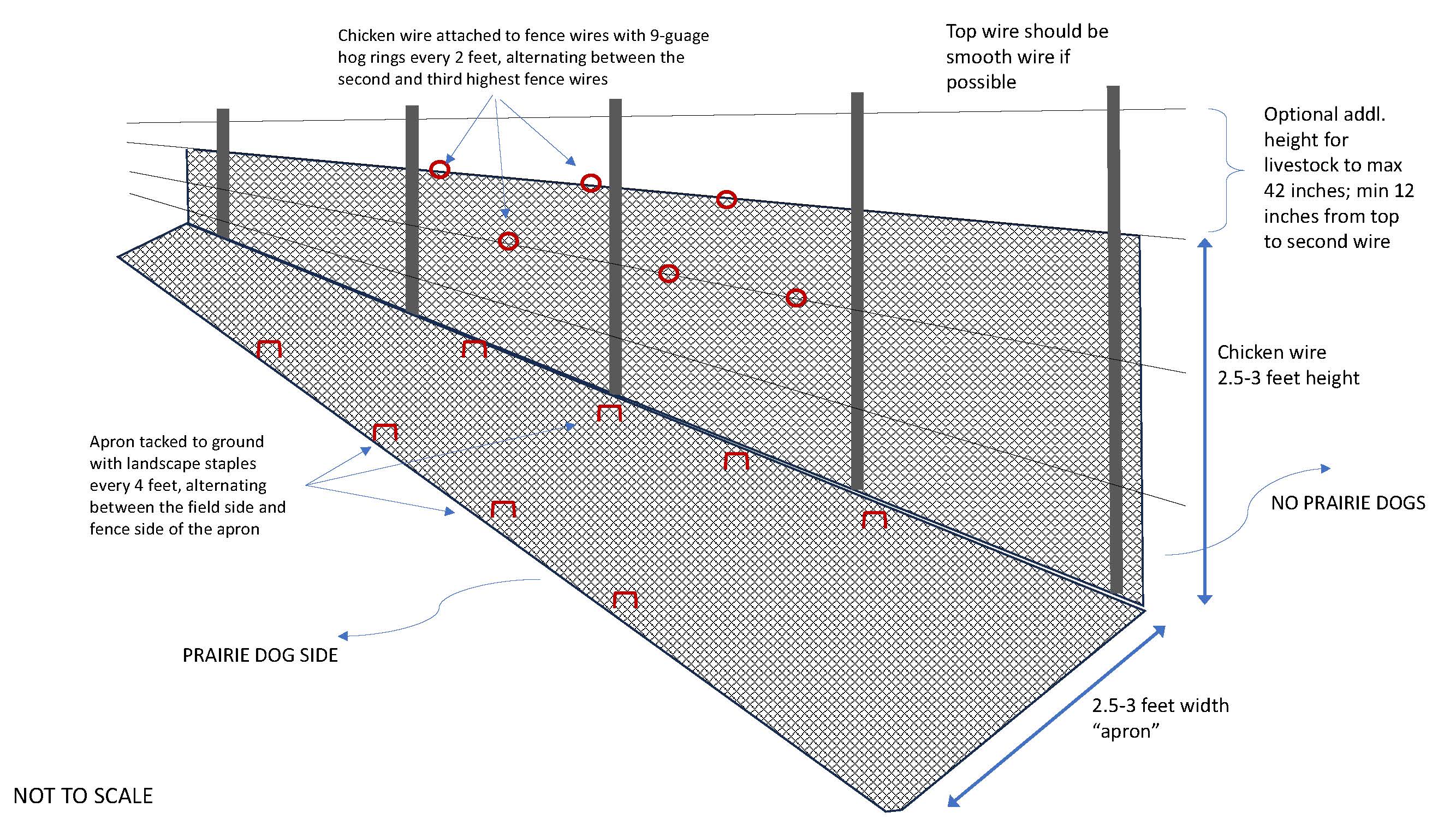 Prairie dog barrier along a fence using chicken wire