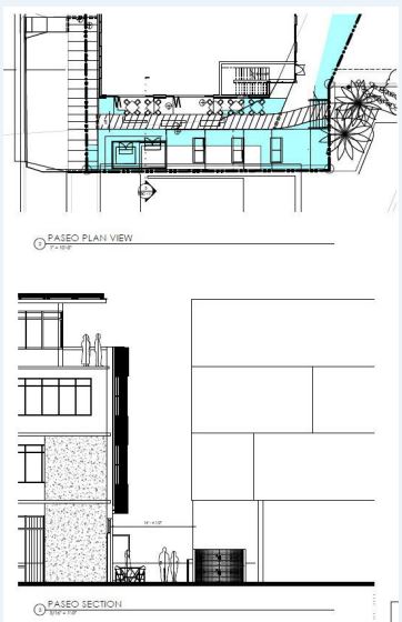 Example of a paseo diagram and section