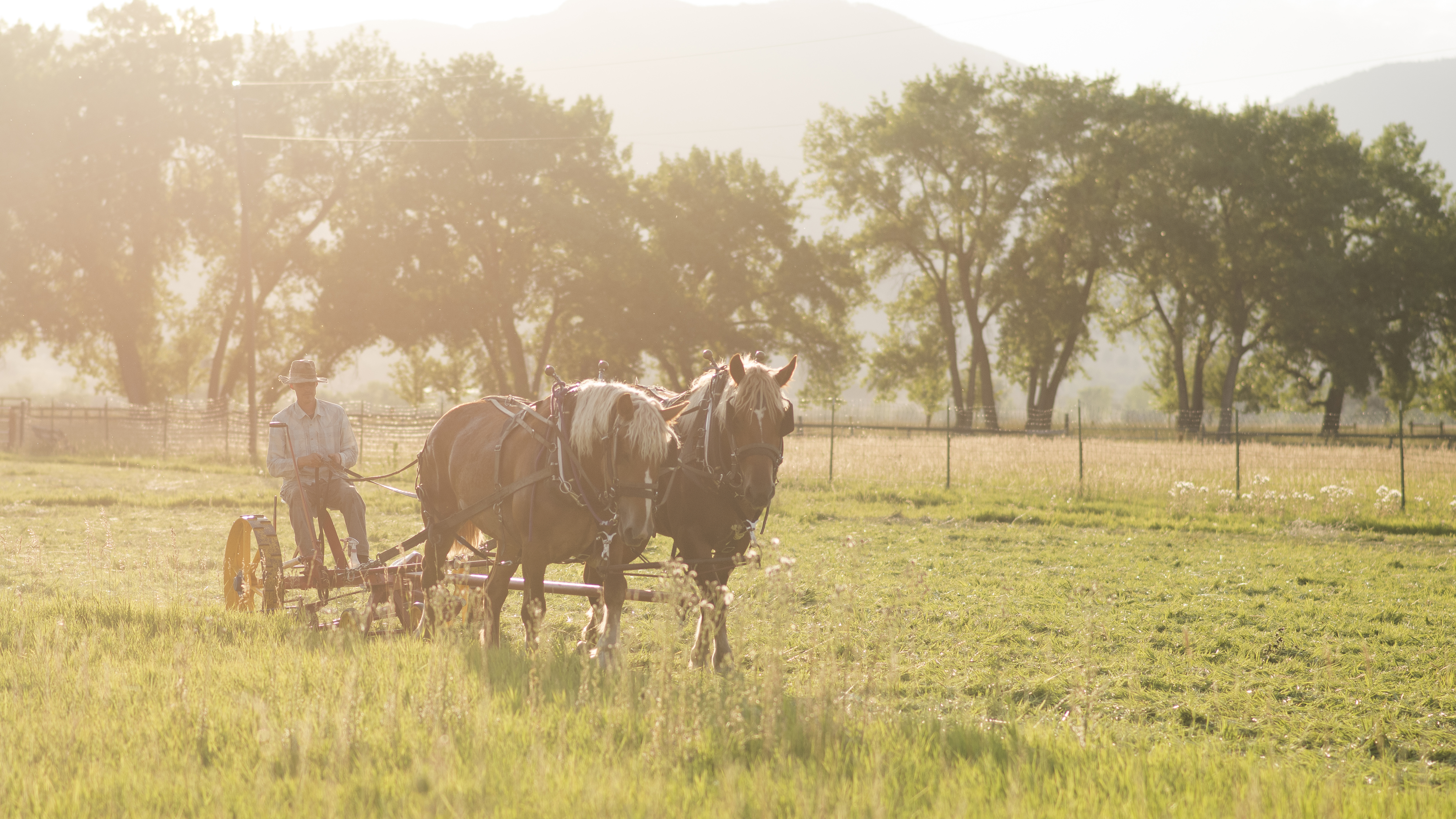 Agriculture operations occurring on open space land