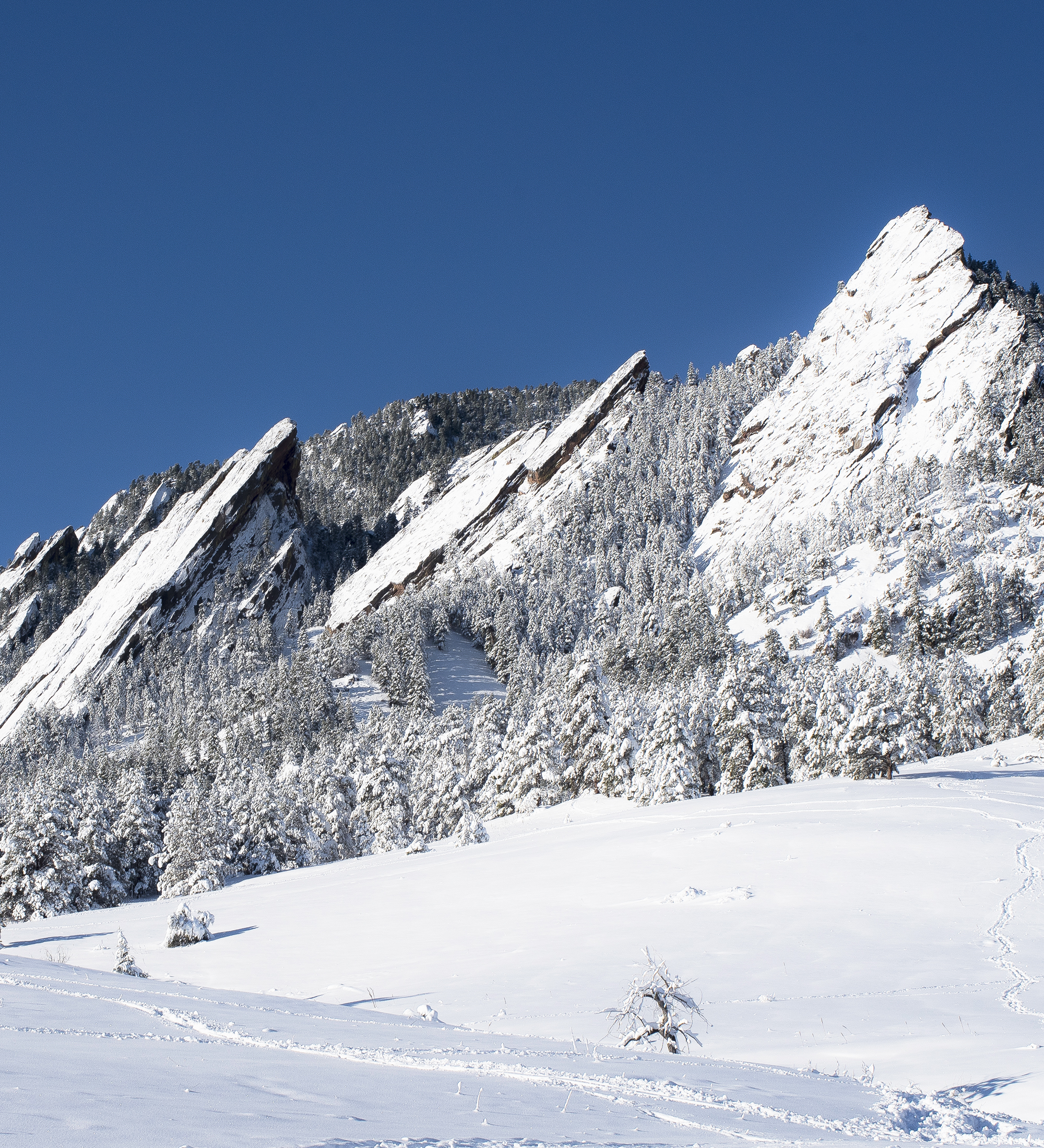 Snow blankets the Flatirons