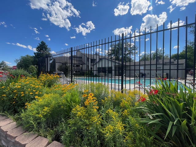 3515 28th St #105-gorgeous community landscaping flower beds