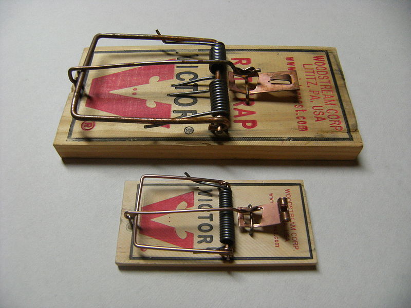  A large and a small wooden snap trap used for rats and mice. 