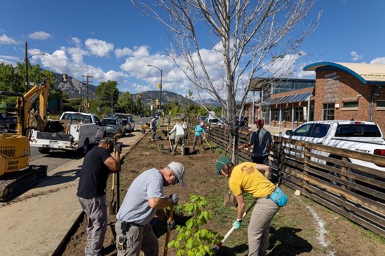 Volunteers and staff plant trees and native plants along a sidewalk.