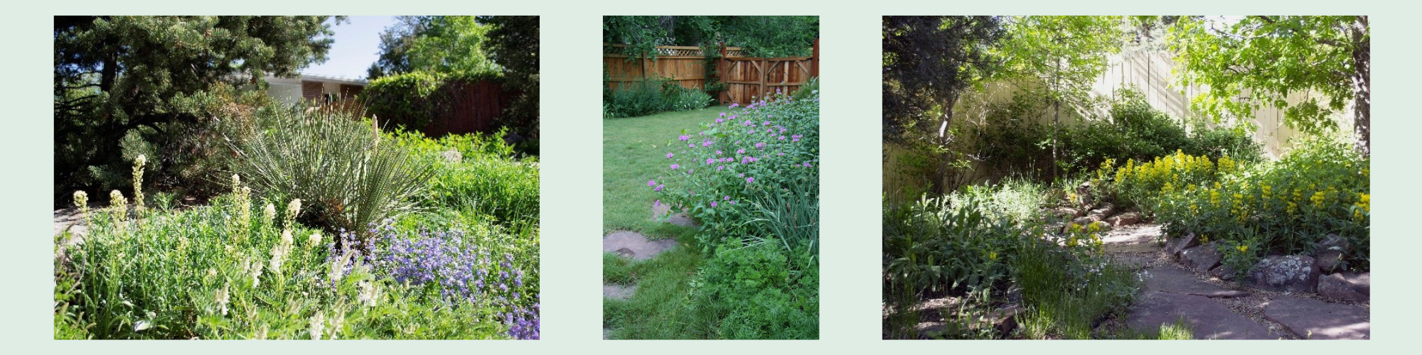 These established landscapes require no irrigation