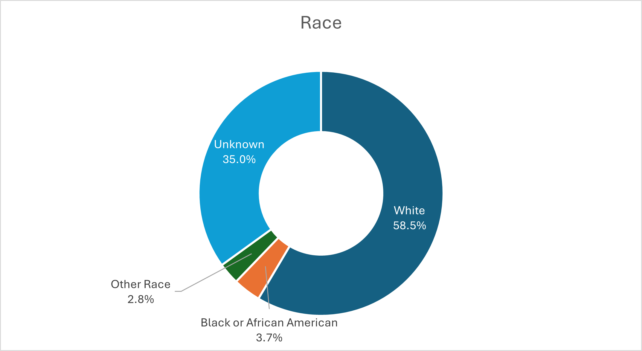 Donut chart titled “Race” showing the distribution of race categories.